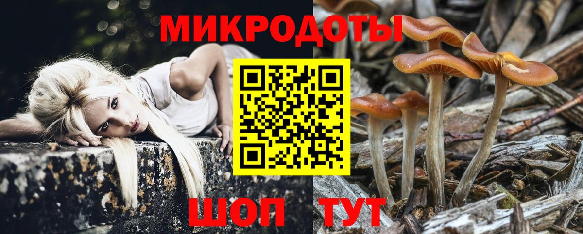 Белогорск  Псилоцибиновые грибы мухоморы  Вход с VPN 
